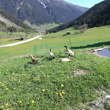 Kirchebner Hof Gries im Sellrain