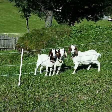 Kirchebner Hof Farm stay Gries im Sellrain